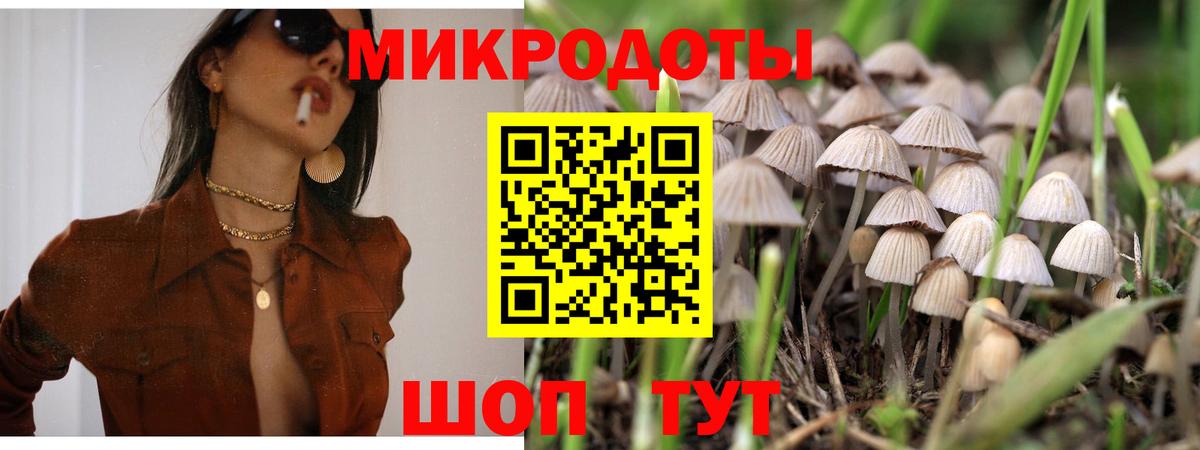 где купить наркотик  Вход с VPN  Зеленодольск  Галлюциногенные грибы GOLDEN TEACHER 